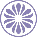 Grey Iris
