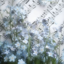 nellie's dungeon Discord server icon