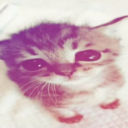 palace Discord server icon