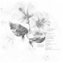 serendipity Discord server icon