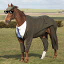 the Kdawgs Discord server icon