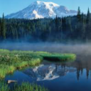 Mountain Side (Local Washington State Server) Discord server icon