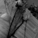 Midnight poetry Discord server icon