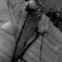 Midnight poetry