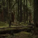 Emberwood