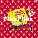 FlexFiles