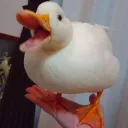 SpergBurgers