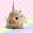 Happy sunshine land!!!!! Discord server icon