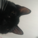 ⊹ ࣪ ˖/ᐠ ˵> ˕ <˵マ⋆. 𐙚 ˚ Discord server icon