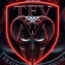 Task Force Vanguard {TFV}