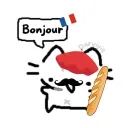 France Student Network