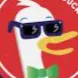 Duck realm server icon