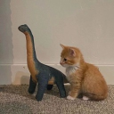 soap's Kingdom Discord server icon