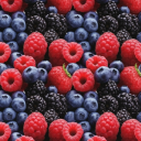 Orkaitės Discord server icon