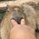 group chat applications Discord server icon