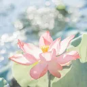 𝙤𝙪𝙧 𝙣𝙖𝙩𝙪𝙧𝙚 ⋆🪷˚｡