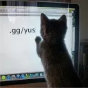 yus gang