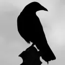 yume  .  crows