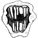 New England Emos Discord server icon