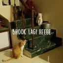 Bhook lagi hai