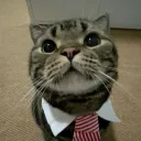 𝑷𝒍𝒂𝒚&amp;𝑪𝒉𝒊𝒍𝒍 𝒁𝒐𝒏𝒆