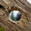 Gloryhole Discord server icon