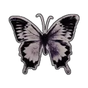 †˖̣̣̣ ͜ 　　　　𝓷irvana　　　16+