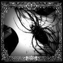 ᐩ◡   .  @᥊ᥲnthᥱ    ♱ Discord server icon