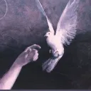 Purity