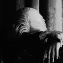 ❝ 𝐨𝐧𝐞 𝐦𝐮𝐬𝐭 𝐛𝐞 𝐭𝐫𝐮𝐞 ❞ ( 𝗱𝗮𝗻𝗰𝗲 ܍ )