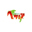 THE hetalia roleplay Discord server icon