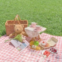 Regressor’s Picnic Discord server icon