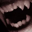 「 K9 」