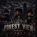Forest View Chicago V1