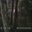 Noctis Forest