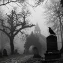 🪦 ｡.The Cemetery