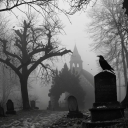 🪦 ｡.The Cemetery