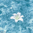 The Deep Blue
