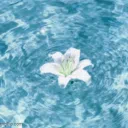 The Deep Blue