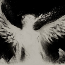 /𝔣𝔞𝔡𝔢𝔡¹⁶⁺ Discord server icon
