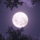 🌙 Orbits Sanctuary 16+