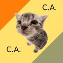 The Cute & Amazing Cats Association of Teen Government (C.A.C.A.) - A.K.A. the Sniffy Club