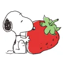 Snoopy villa🐾