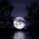 Moonlight Discord server icon