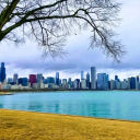 Chicago Sniffers