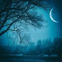 Nocturne Waltz