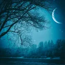 Nocturne Waltz