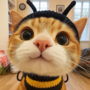 Server Icon