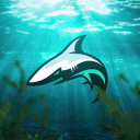 Endless Gaming | Marketplace 🦈 avatar
