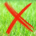 Touching Grass is Overrated